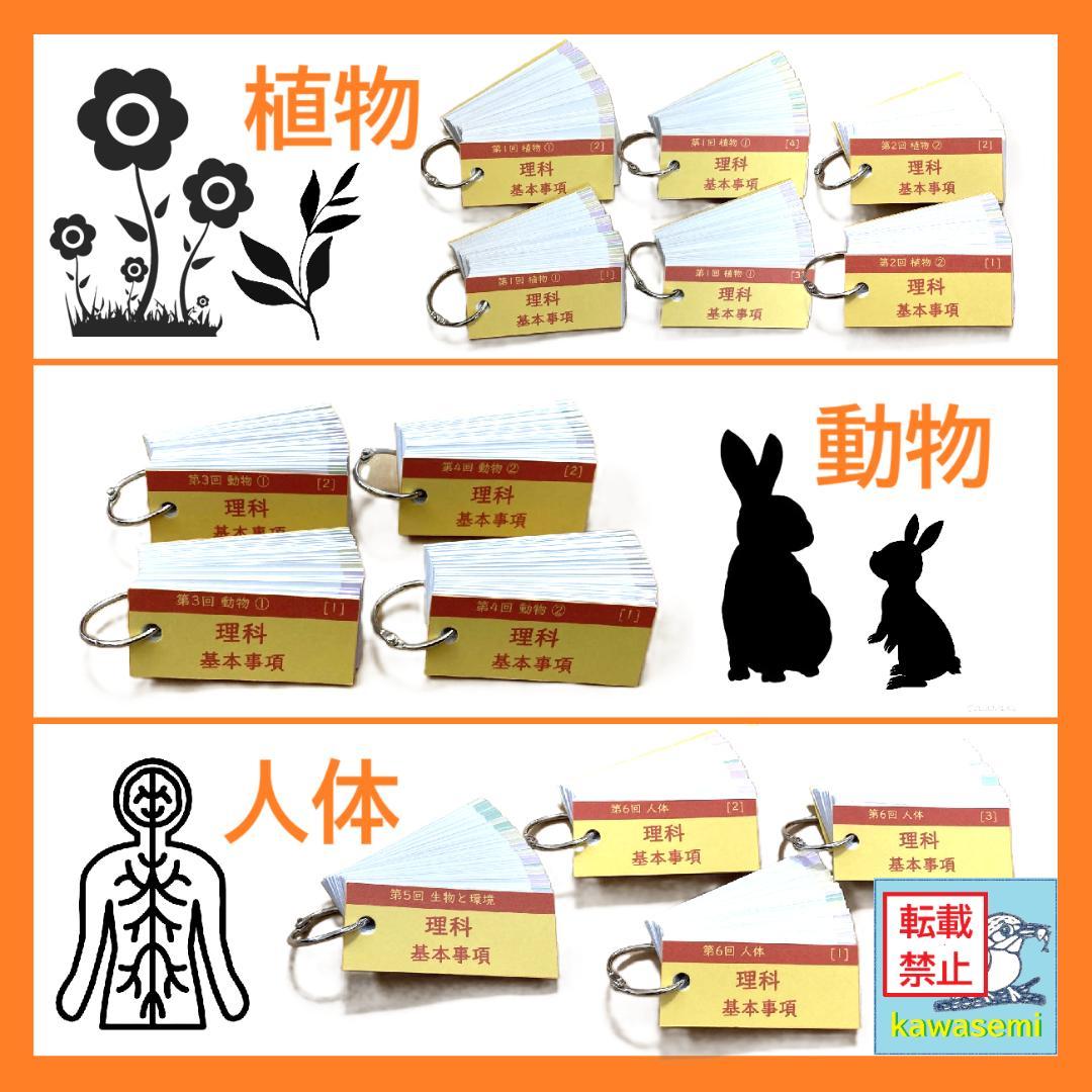 カット済【中学受験】理科の基本事項 理科 生物セット 暗記カード 早稲アカc