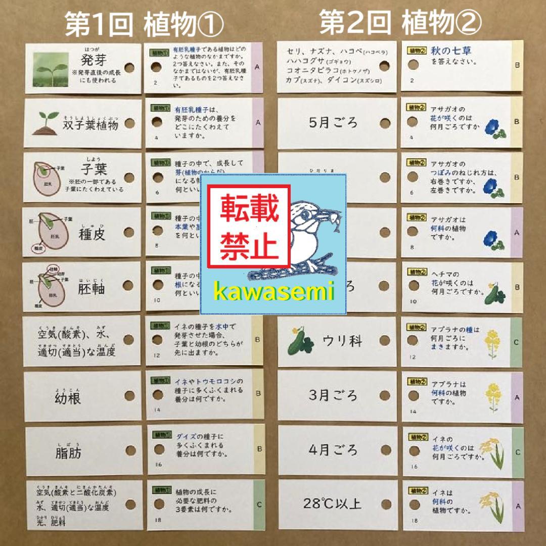カット済【中学受験】理科の基本事項 理科 生物セット 暗記カード 早稲アカc
