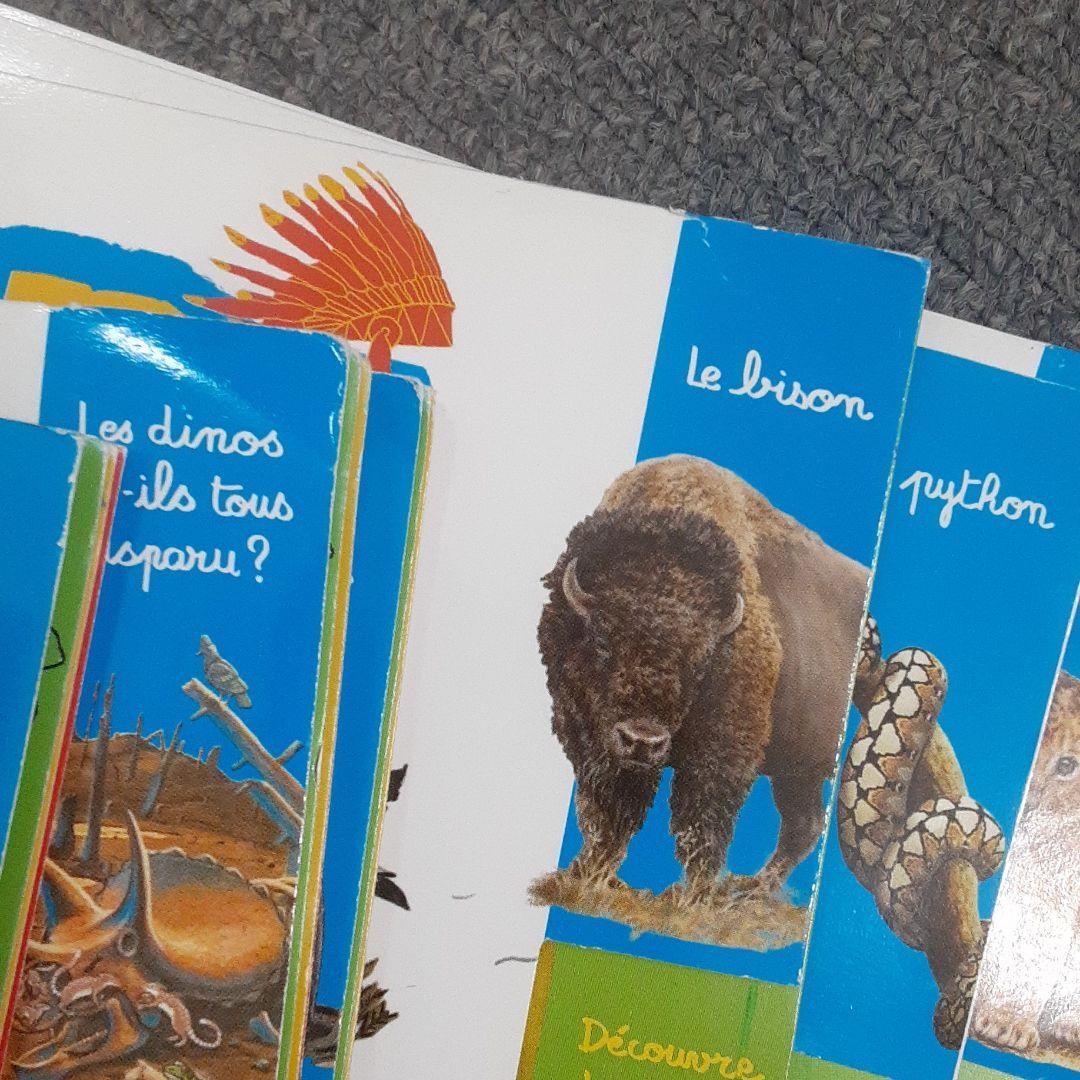 Youpi J’ai compris 11冊　フランス語