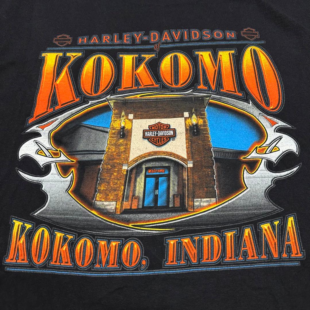 【90s】USA製　ハーレーダビッドソン　HOLOUBEK Tシャツ
