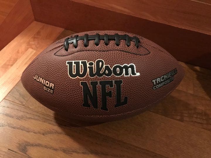 まめ　アメフトボール Wilson ウィルソン