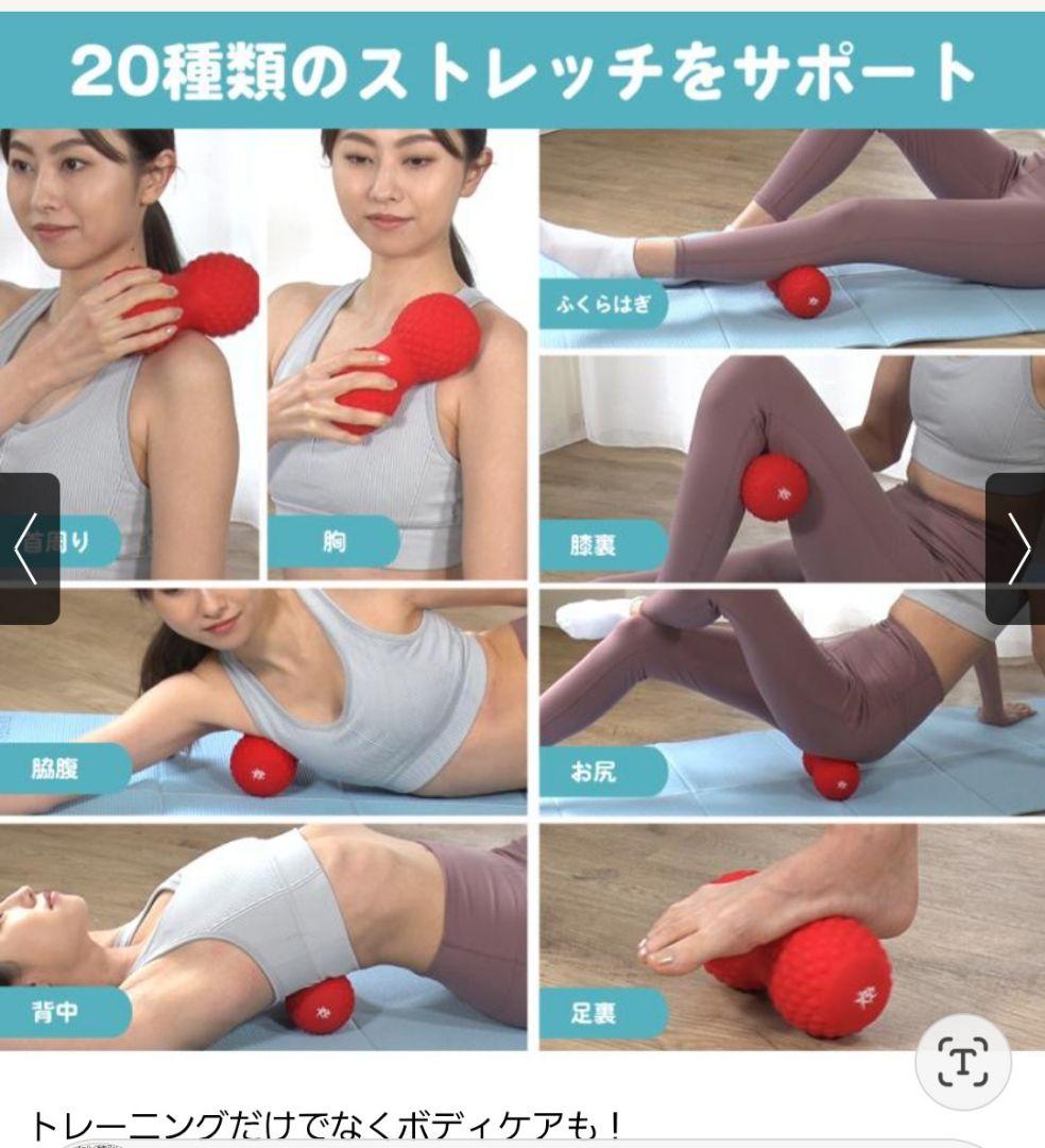 シェイプツインボール　振動マシン（5段階調整）東急スポーツオアシス OASIS