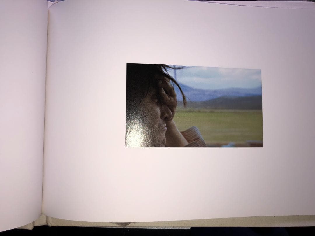 The Brown Bunny Vincent Gallo 写真集