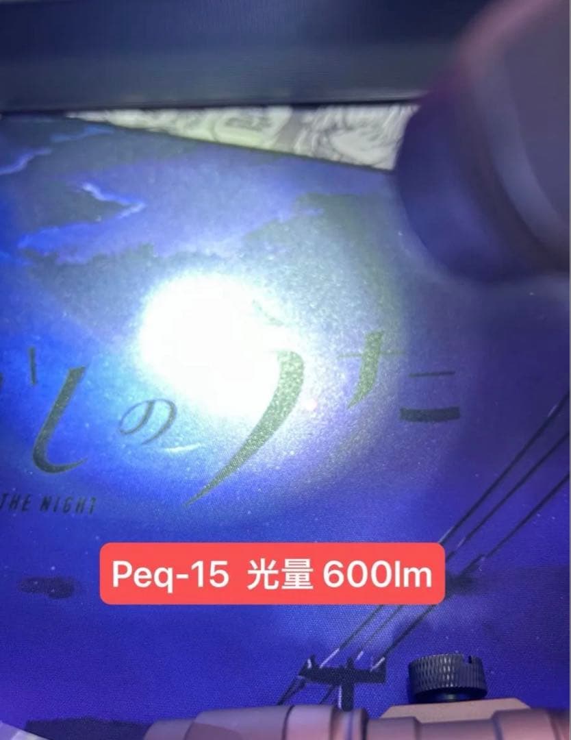 最安値！ 新品 Wadsn製 IR搭載 M-lock対応 ライトセット