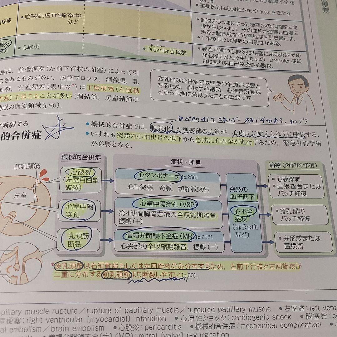 確認用 病気がみえる vol.2 第4版