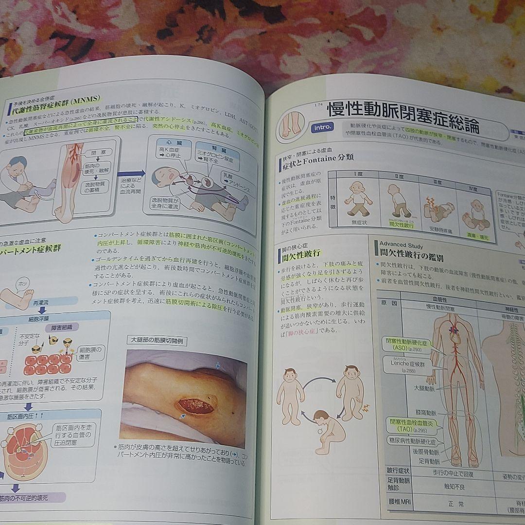 確認用 病気がみえる vol.2 第4版