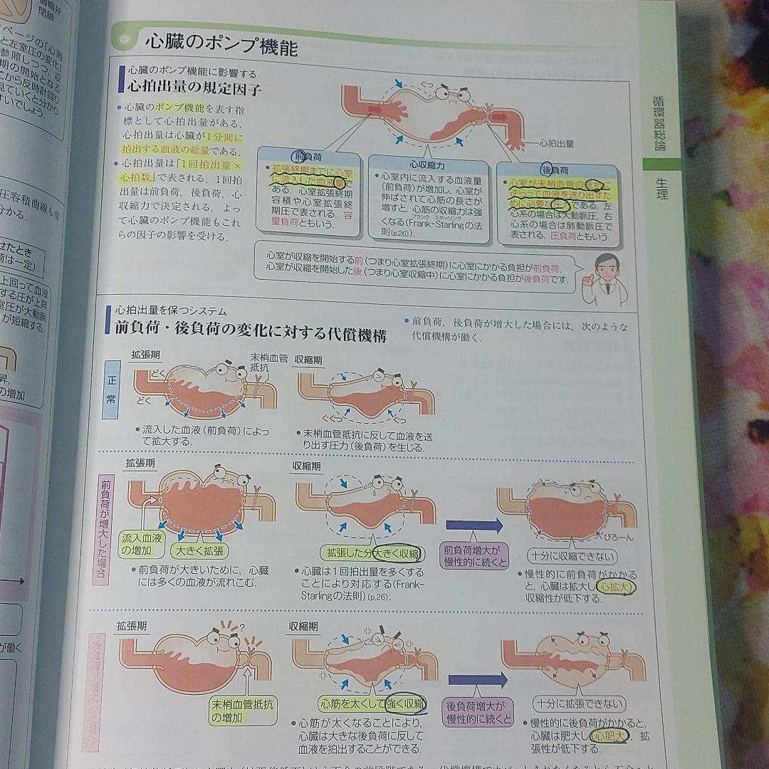 確認用 病気がみえる vol.2 第4版