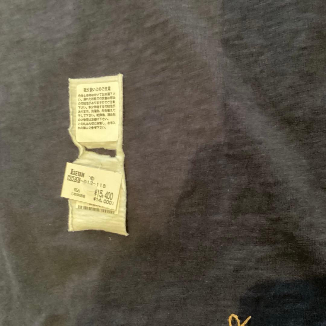 45R 美品　フラミングウェイtシャツ
