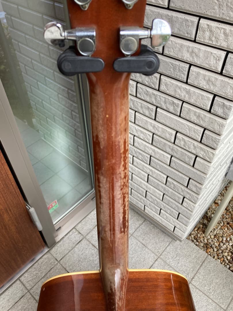 単板　東海楽器　CATS EYES TCE-30『Martin新品弦交換済み』