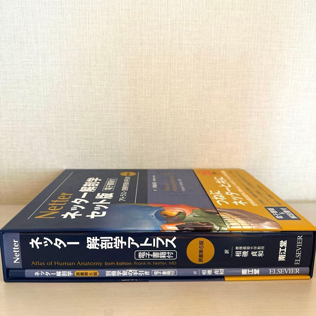 Netter ネッター解剖学 セット版