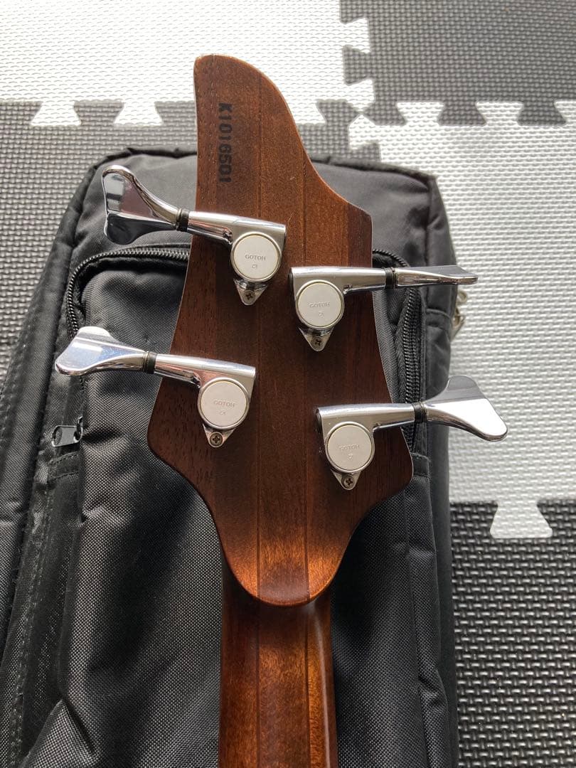 ベース ESP bottom bump