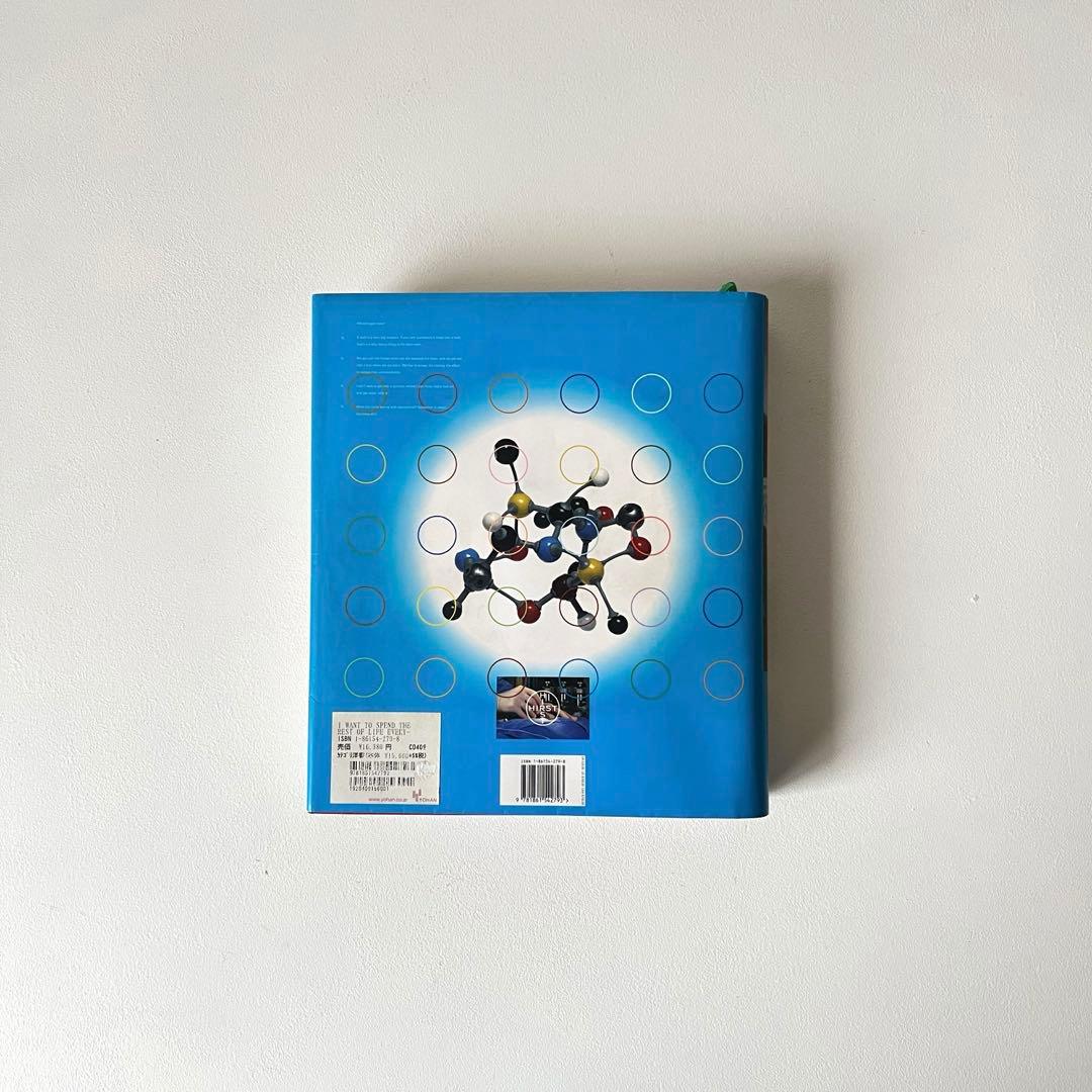 Damien Hirst 作品集2005 ダミアン・ハースト アートブック