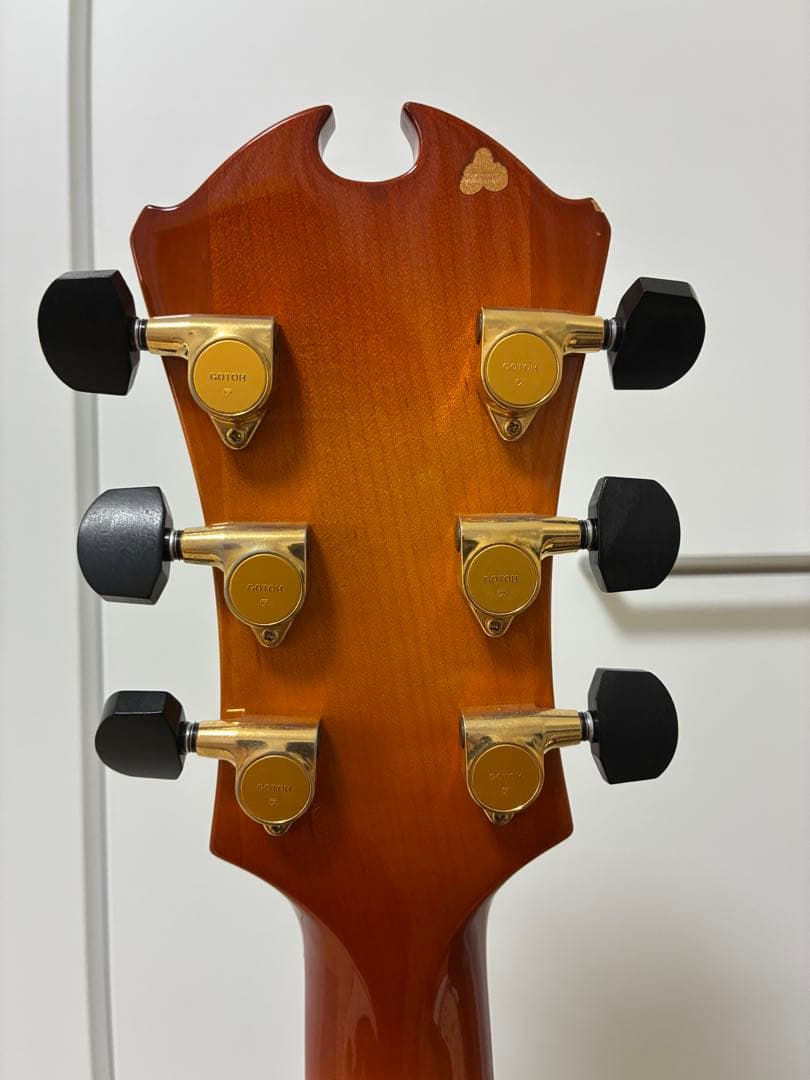 D'Aquisto Jazz Line JR / DiMarzio搭載