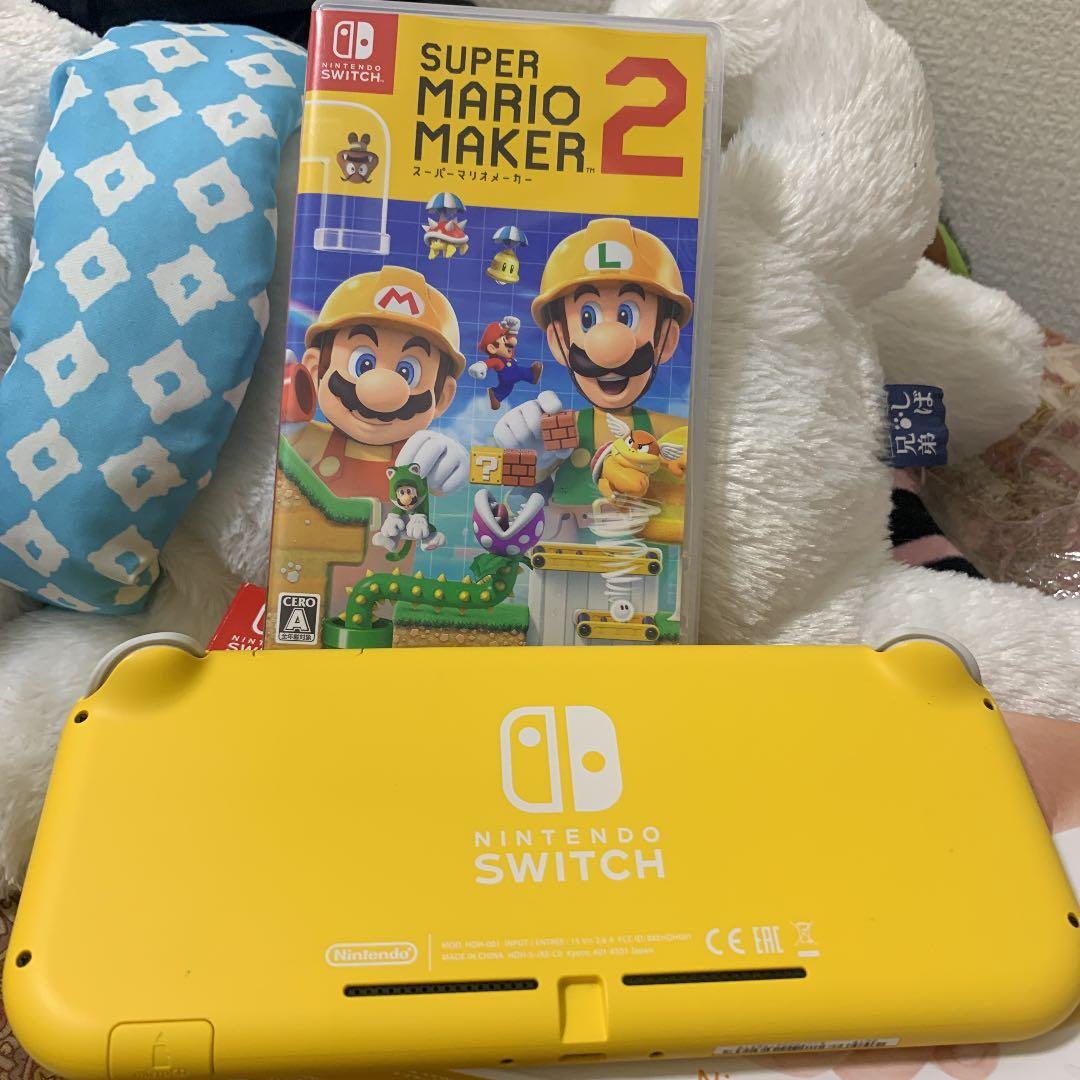 Switch Liteです