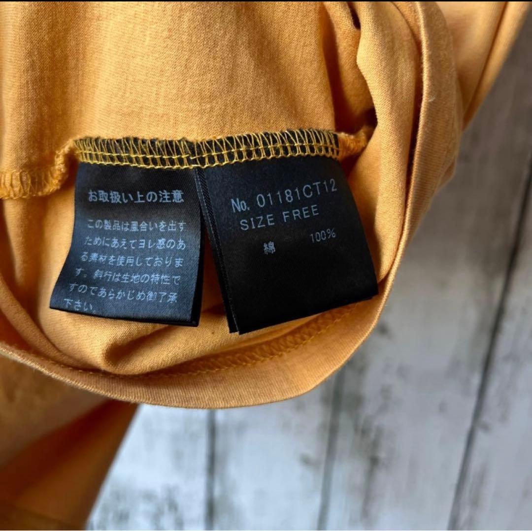 【最高デザイン】ヒステリックグラマーtシャツ【F】バックプリント⭐︎入手困難