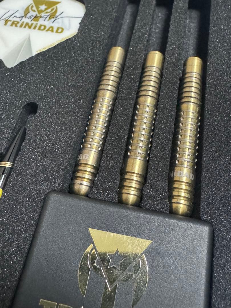 【TRiNiDAD】リカルド STEEL 22g 浅田斉吾選手モデル