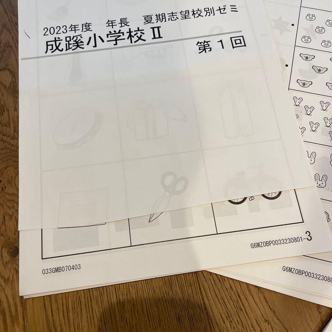 【理英会】2023年度　年長　夏期志望校別ゼミ【成蹊小学校Ⅱ期】