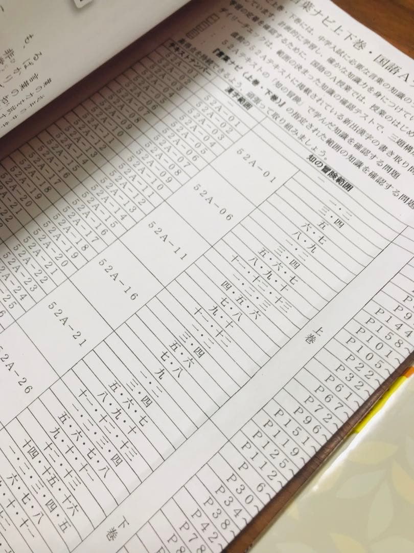 20-22 ❶ サピックス　SAPIX 言葉ナビ　上巻　下巻 重要教材❣️