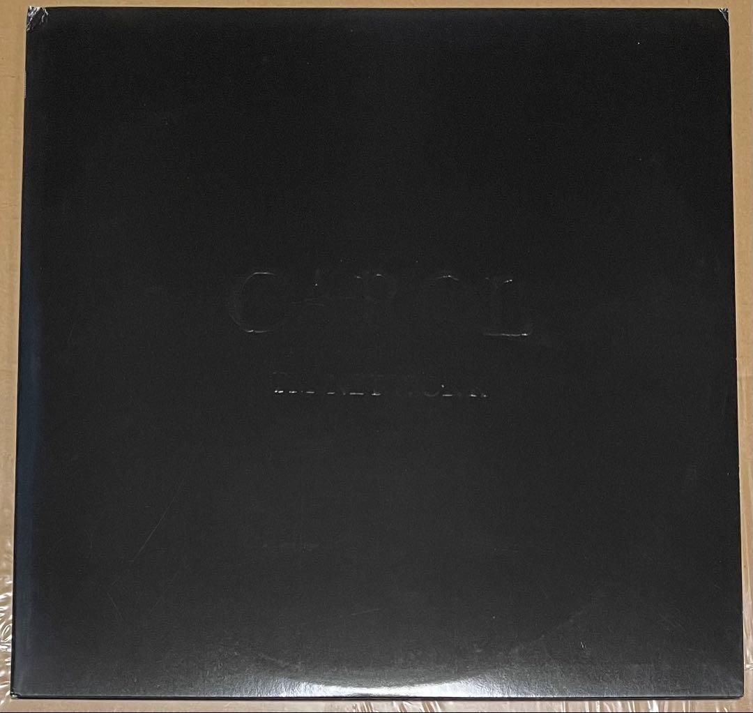 TM NETWORK CAROL レコード LP 2枚組