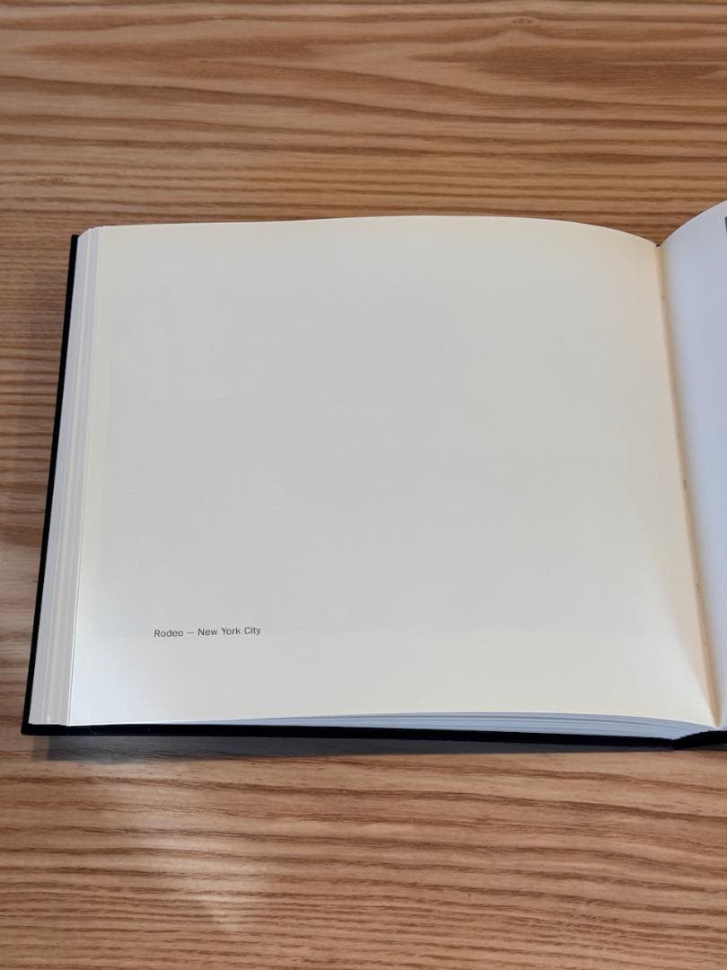 THE AMERICANS Robert Frank Steidl ハードカバー