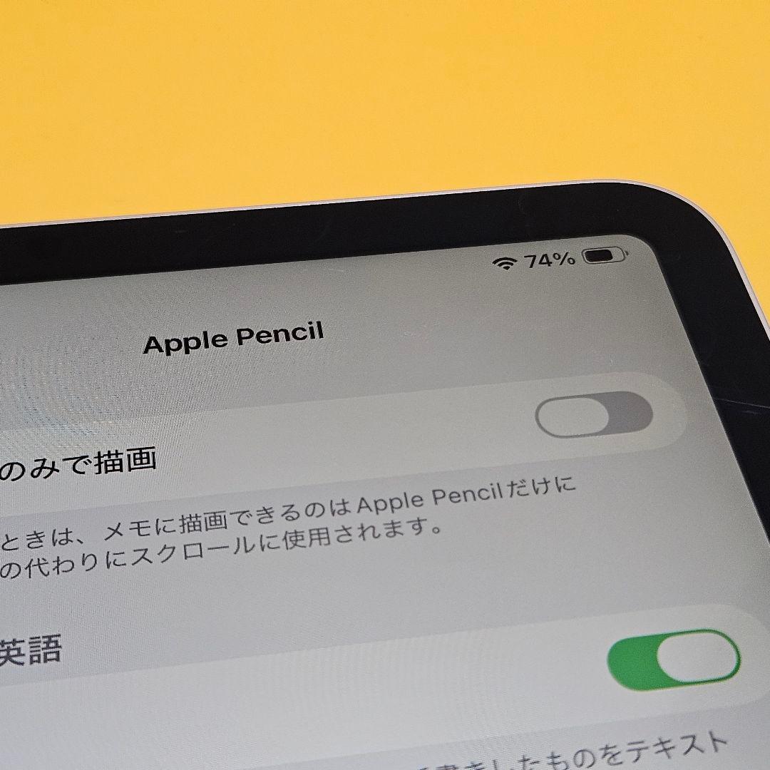 iPad Pro 11インチ (第1世代)Wi-Fi ｜24時間以内発送#638