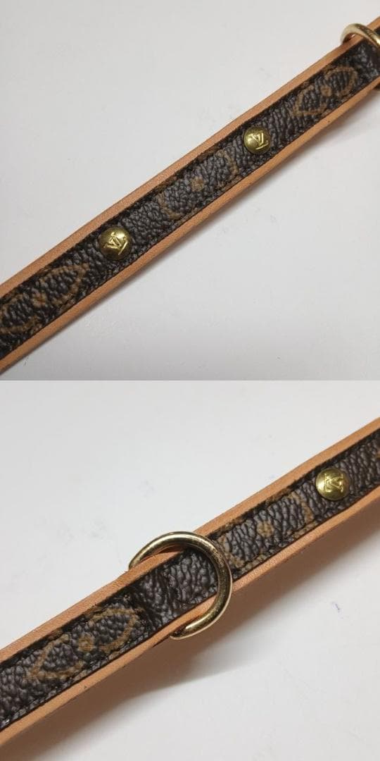 チャッピー土瓶原様　首輪 カラー 小型犬 M58072 コリエバクスターPM①