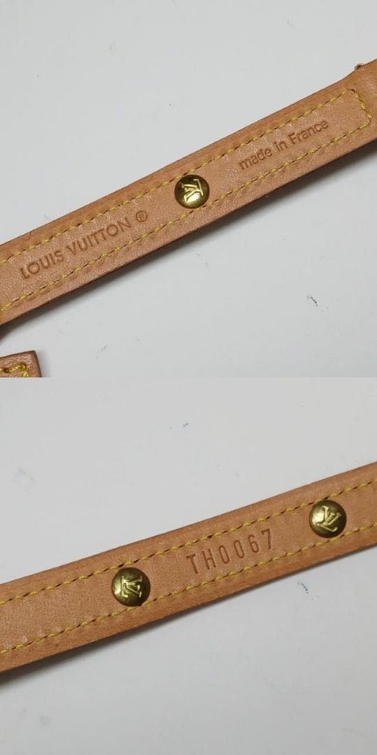 チャッピー土瓶原様　首輪 カラー 小型犬 M58072 コリエバクスターPM①