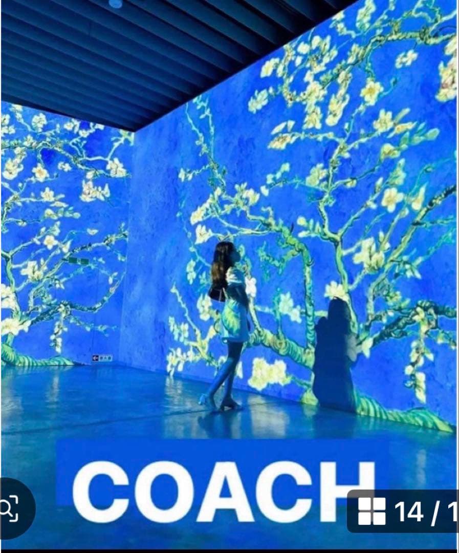 COACHパスキアコラボホワイト白.二つ折り財布.スナップウォレット新品未使用品