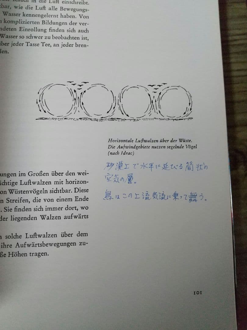 Das sensible Chaos 繊細な混沌 ドイツ語