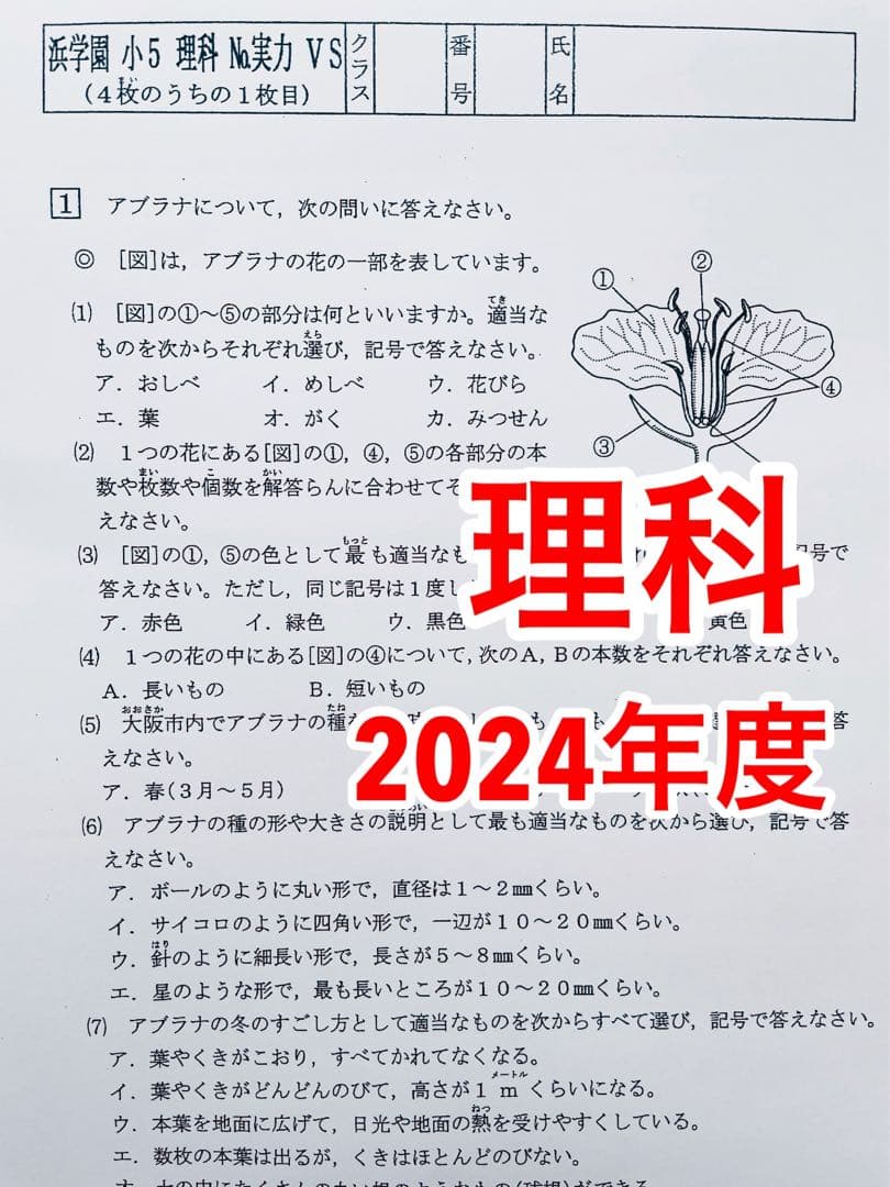 浜学園　最新版　2024年　小5　復習テスト　Vクラス　算国理　3科目r
