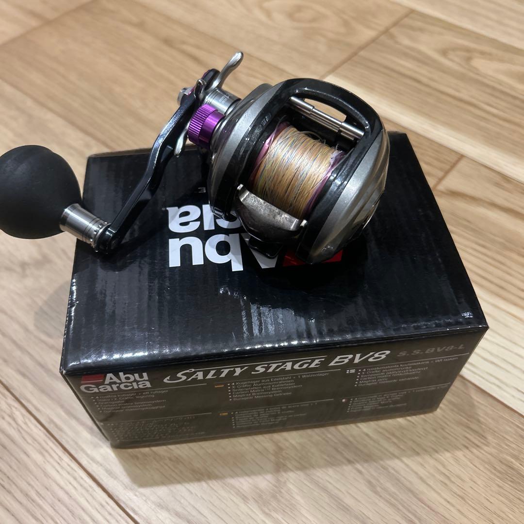 リール Abu Garcia Salty Stage