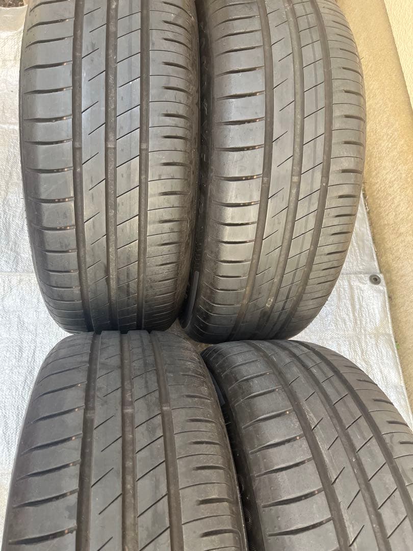 195/55R16 91V AO1グッドイヤーエフシエントグリップパフォーマンス