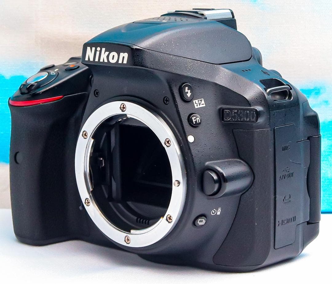 ニコン Nikon D5300⭐️WIFI機能搭載！⭐️一眼レフ⭐️おまけ多数