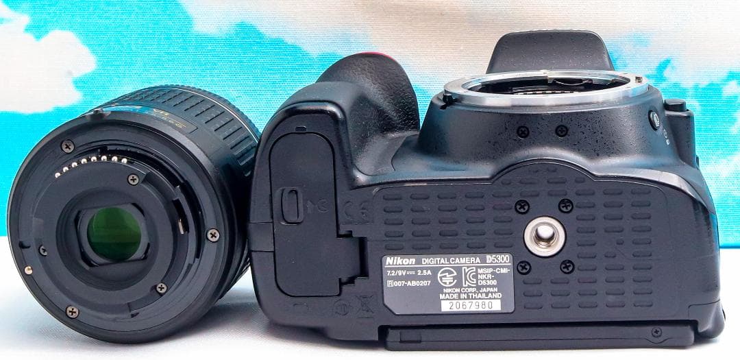 ニコン Nikon D5300⭐️WIFI機能搭載！⭐️一眼レフ⭐️おまけ多数