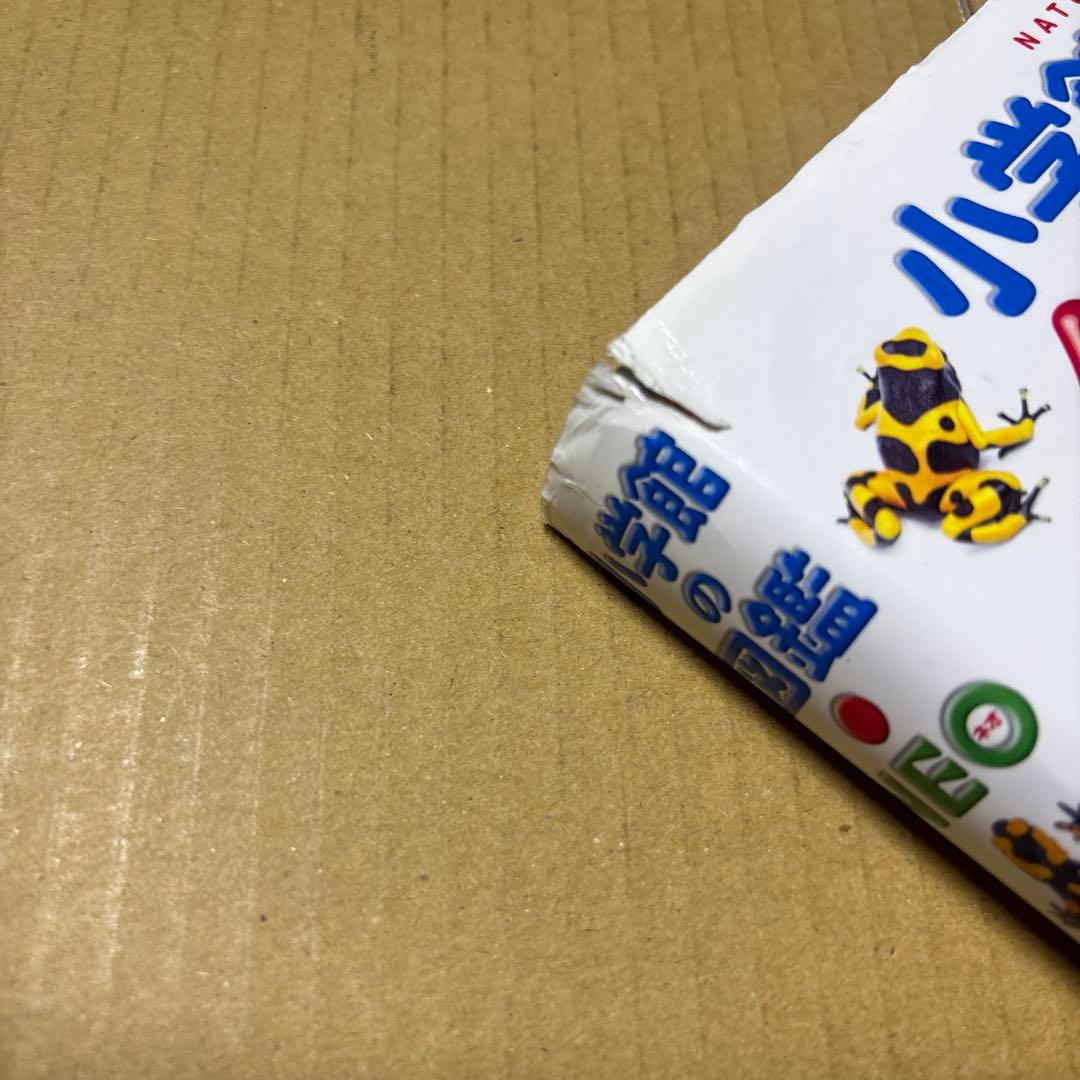5524YM◎小学館の図鑑NEO 昆虫2、イモムシとケムシなど9冊セット