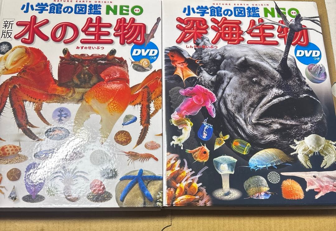 5524YM◎小学館の図鑑NEO 昆虫2、イモムシとケムシなど9冊セット