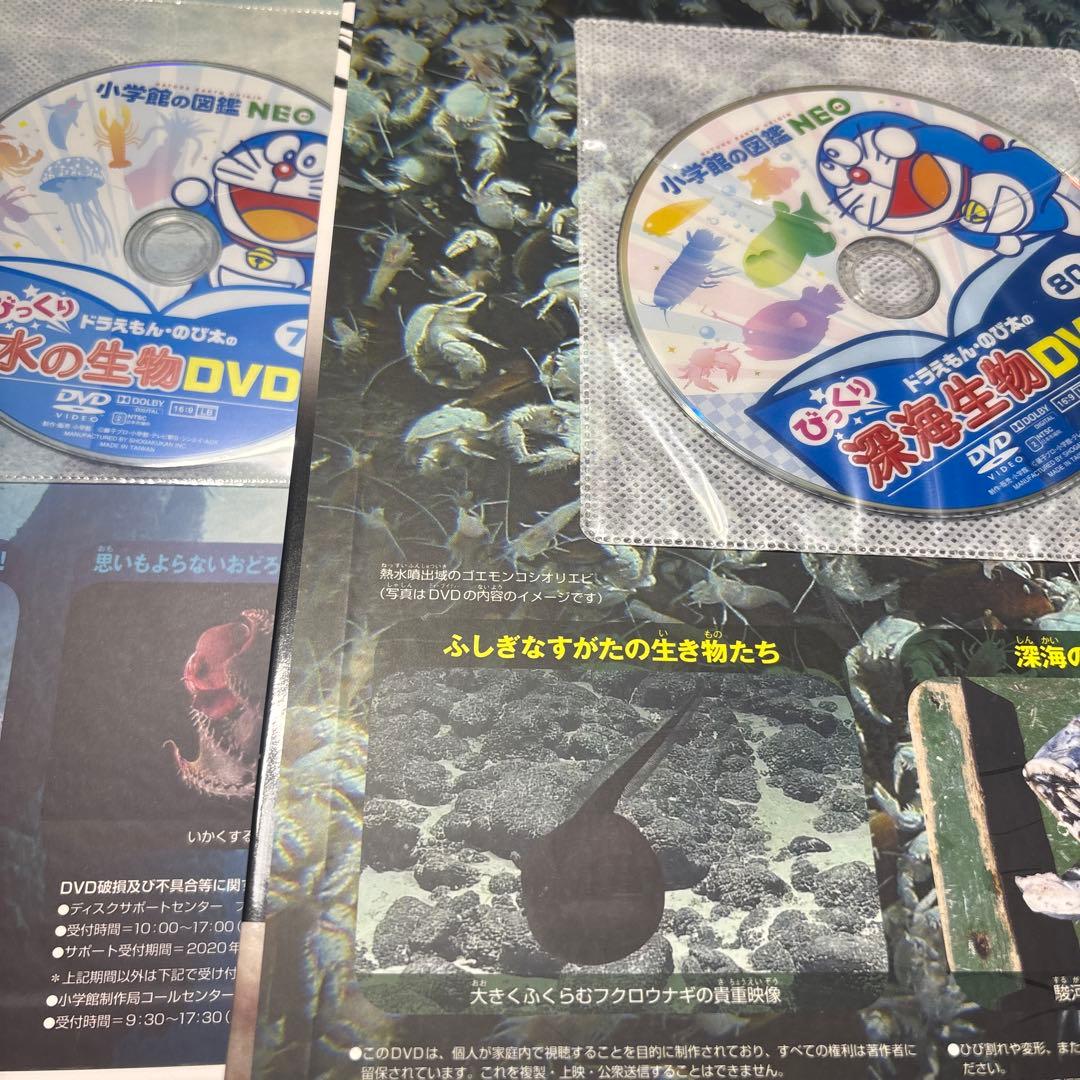 5524YM◎小学館の図鑑NEO 昆虫2、イモムシとケムシなど9冊セット