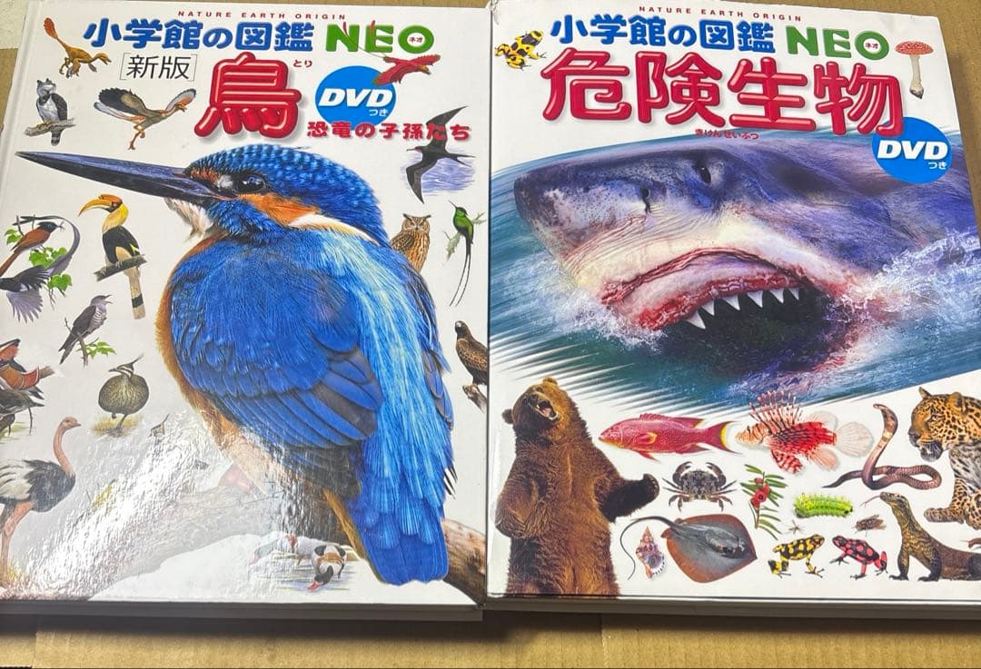 5524YM◎小学館の図鑑NEO 昆虫2、イモムシとケムシなど9冊セット