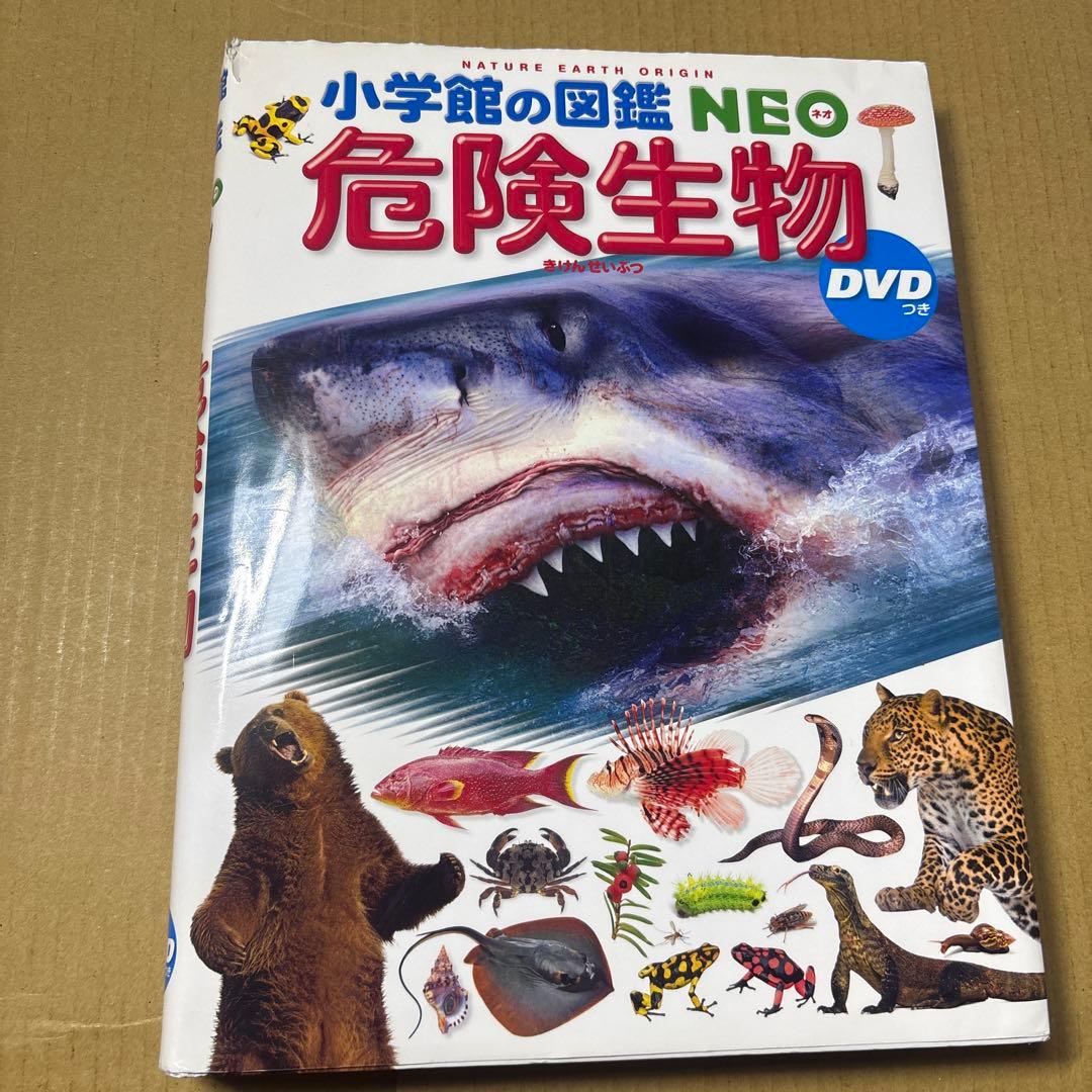 5524YM◎小学館の図鑑NEO 昆虫2、イモムシとケムシなど9冊セット