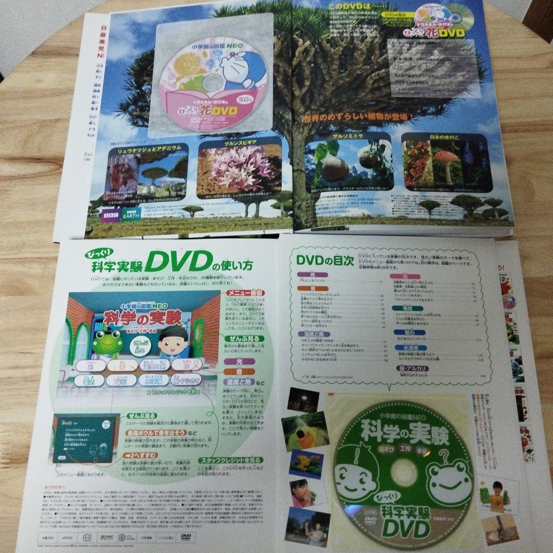 【DVD4枚付】小学館の図鑑NEO 全12巻セット