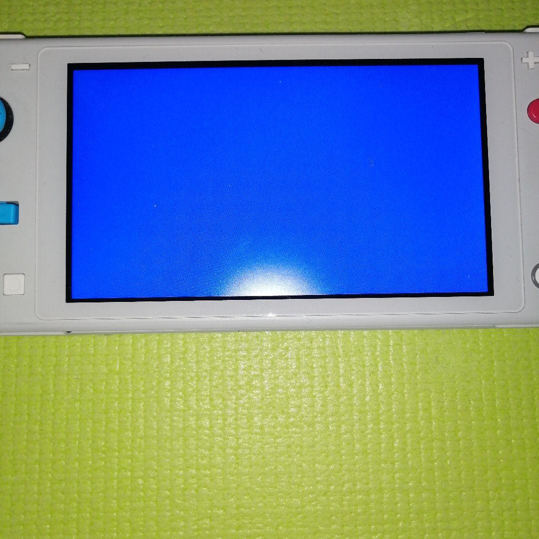 スイッチライト　ジャンク品
