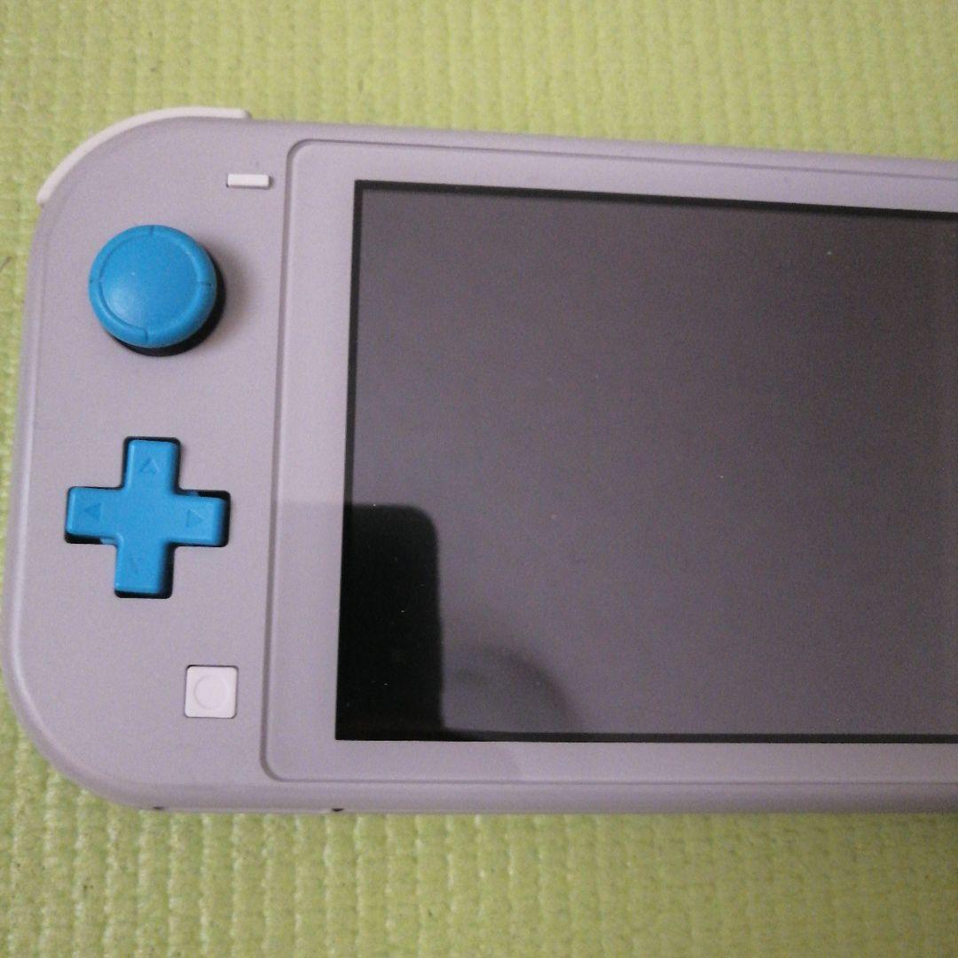 スイッチライト　ジャンク品