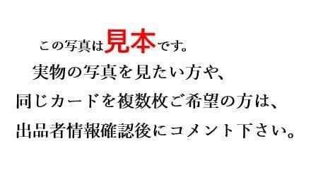 真理の伝道師レイーラ　整理番号、DM-41-1-2