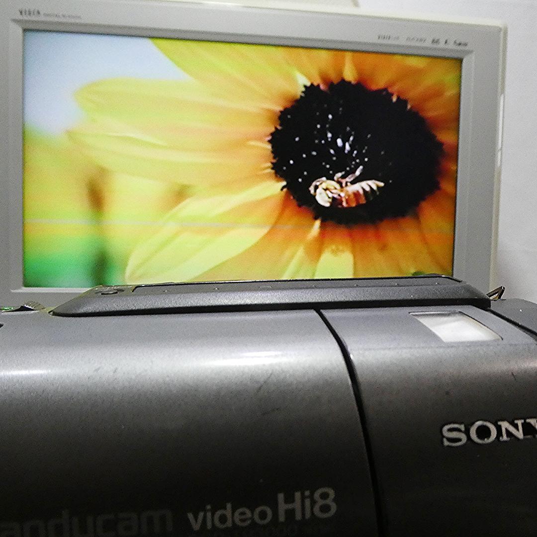 動作良好 ソニーVideoHi8 CCD-TR3000 8ミリビデオ　DVD化に