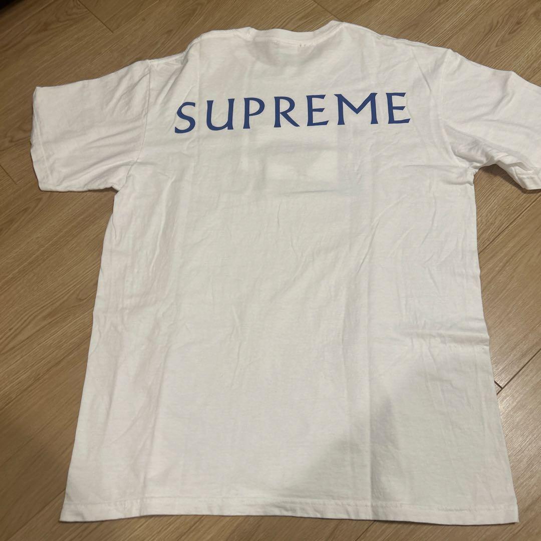 Supreme ダミアンハースト Tシャツ
