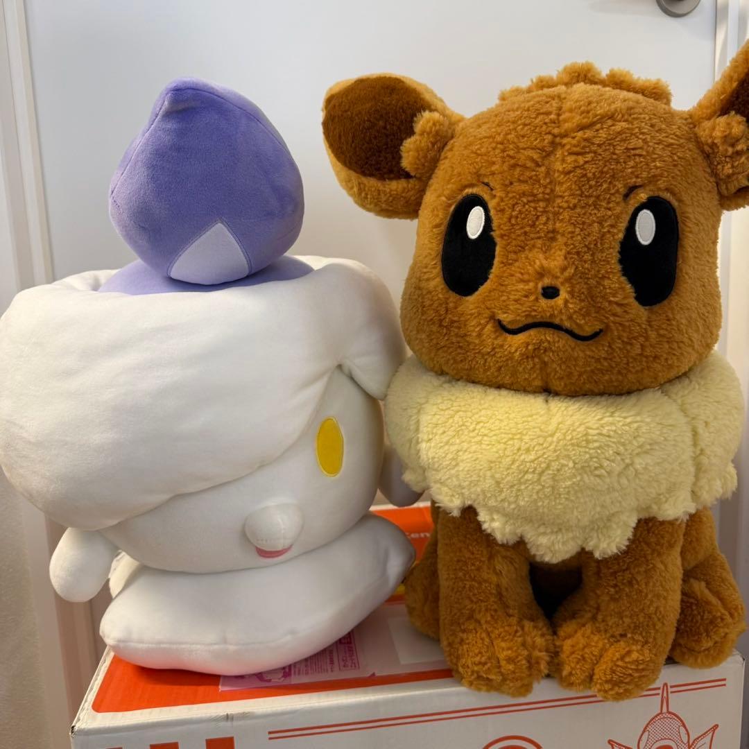 ポケモンセンター　ピカピカボックス2026