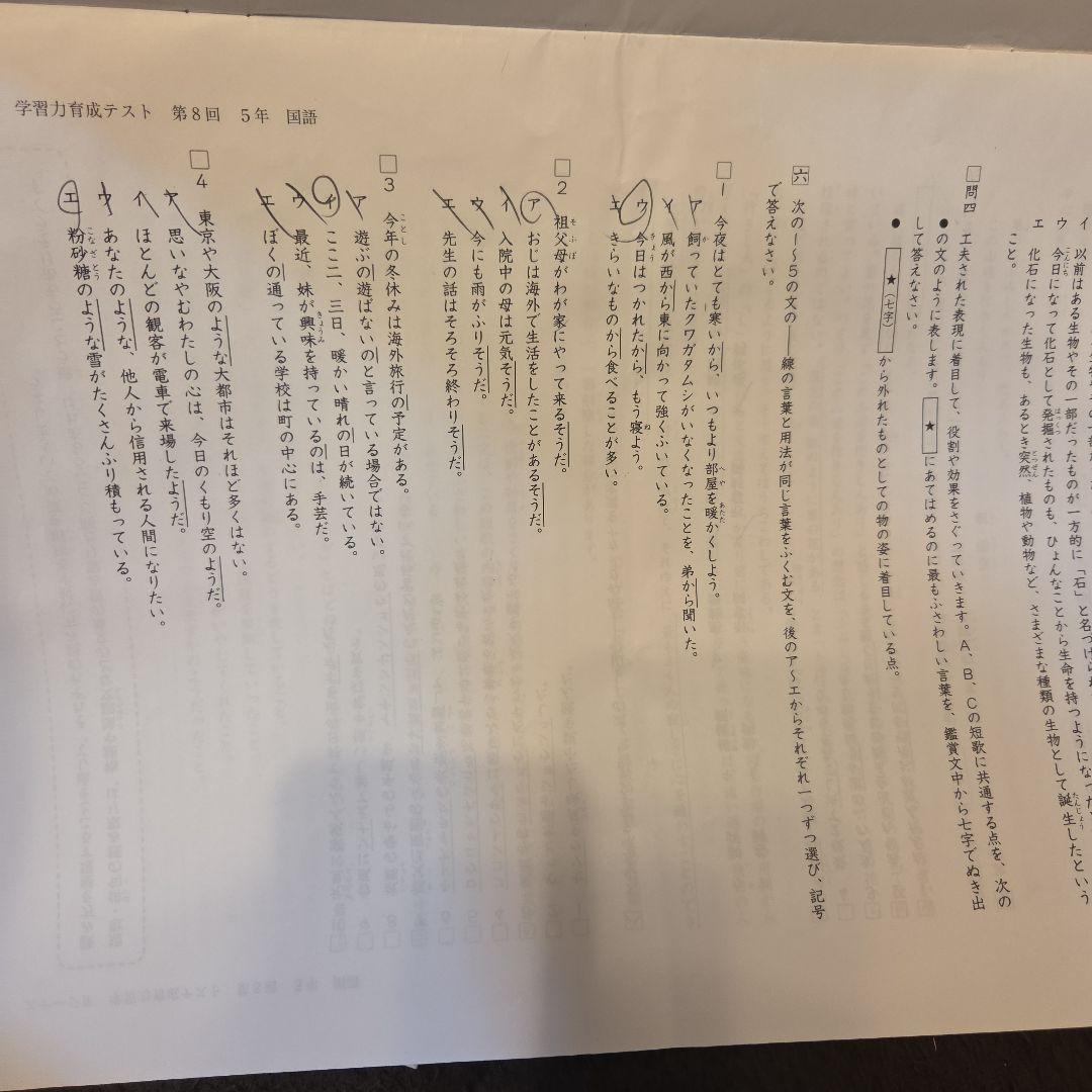 日能研5年 学習力育成テスト第1-8回