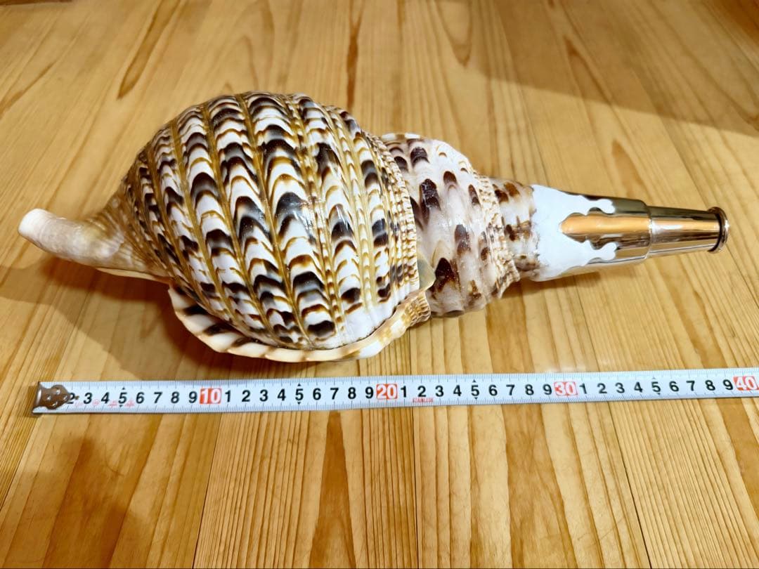 大型修験道法螺貝38.5㎝　山伏　密教　魔除け　熊よけ❣️ホラガイ　ほら貝