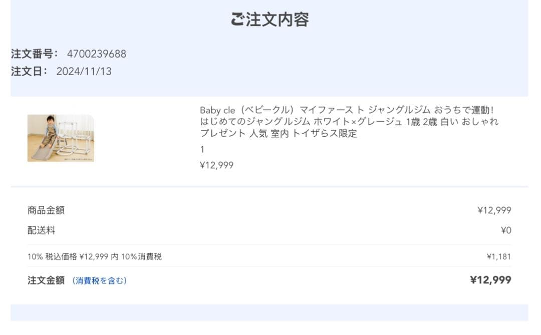 toysrus 滑り台付きジャングルジム 白