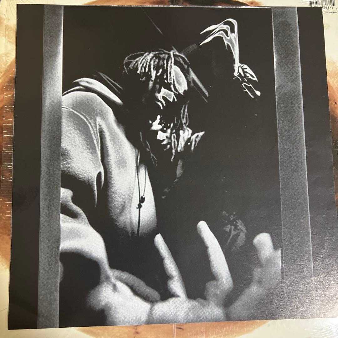 洋楽 Channel Live LP Station Identification